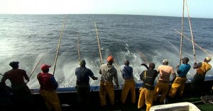 Article : Le Sénégal  interpelé sur la Fraude sur le Tonnage des Navires de Pêche Industriels